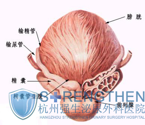 前列腺炎的治疗