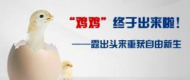 ���԰�Ƥ�����Ტ����ЩΣ����