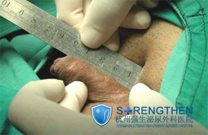 ������С